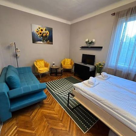 Sunflower Apartment 克卢日-纳波卡 外观 照片