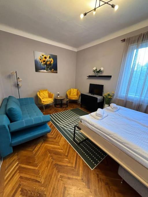 Sunflower Apartment 克卢日-纳波卡 外观 照片